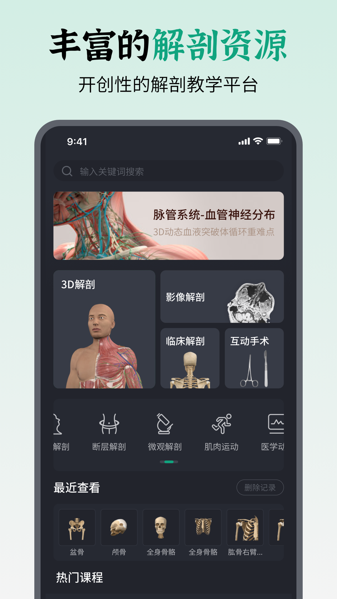 万康人体解剖