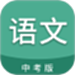 中考语文通