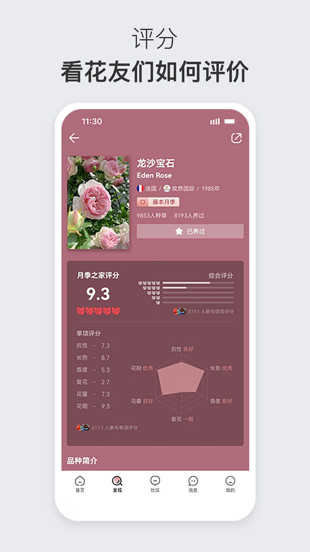 月季之家