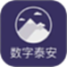 数字泰安