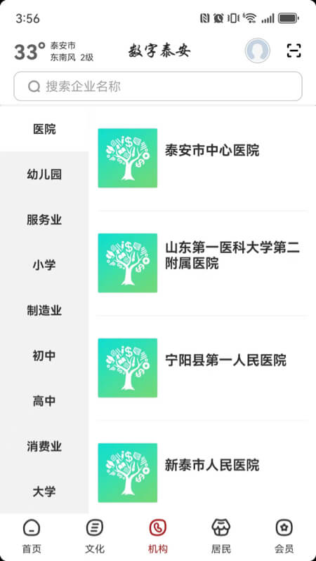数字泰安