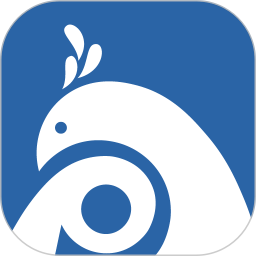 平安版纳公众版电脑版