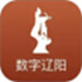 数字辽阳