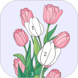 数字画画