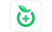 山桔健康电脑版段首LOGO