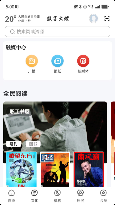 数字大理