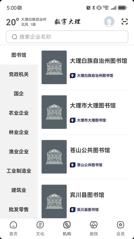 数字大理