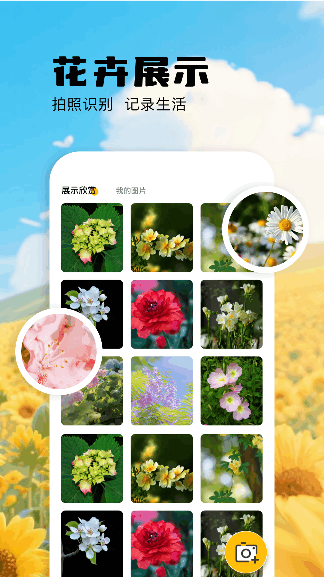 扫描识万物电脑版截图