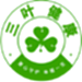 三叶健康