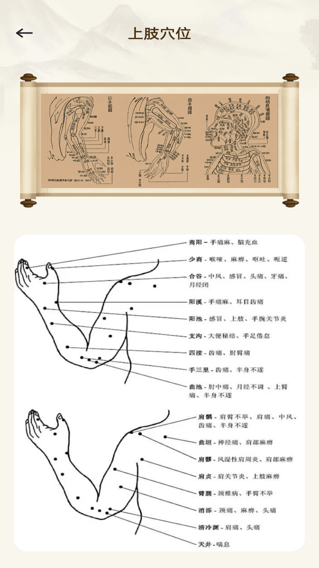 助力中医