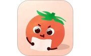 番茄记忆卡电脑版段首LOGO