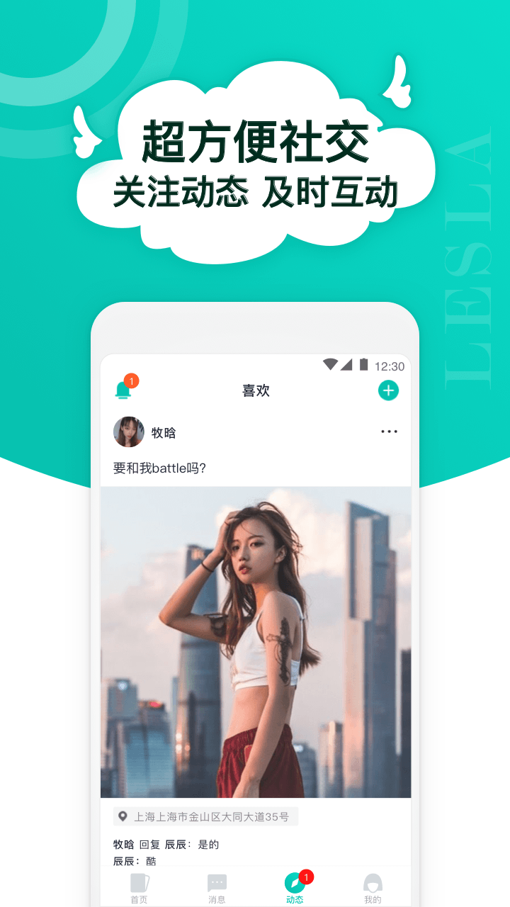 Lesla电脑版截图