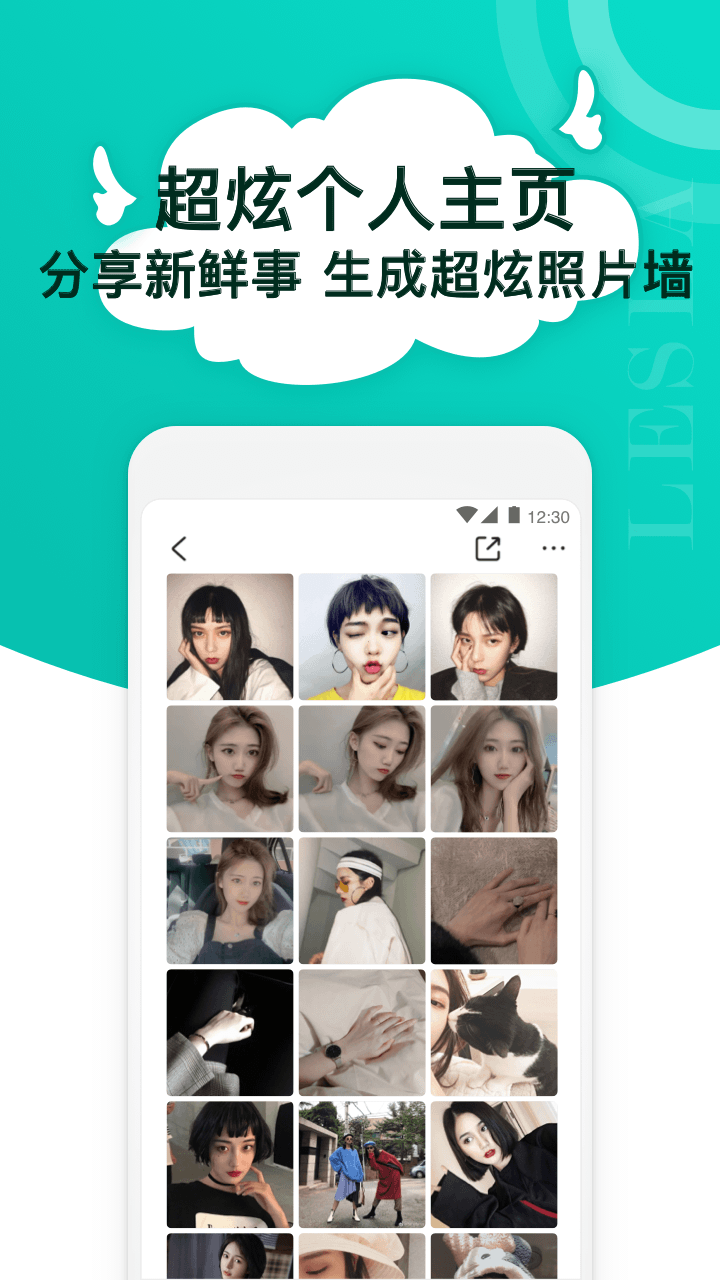 Lesla电脑版截图