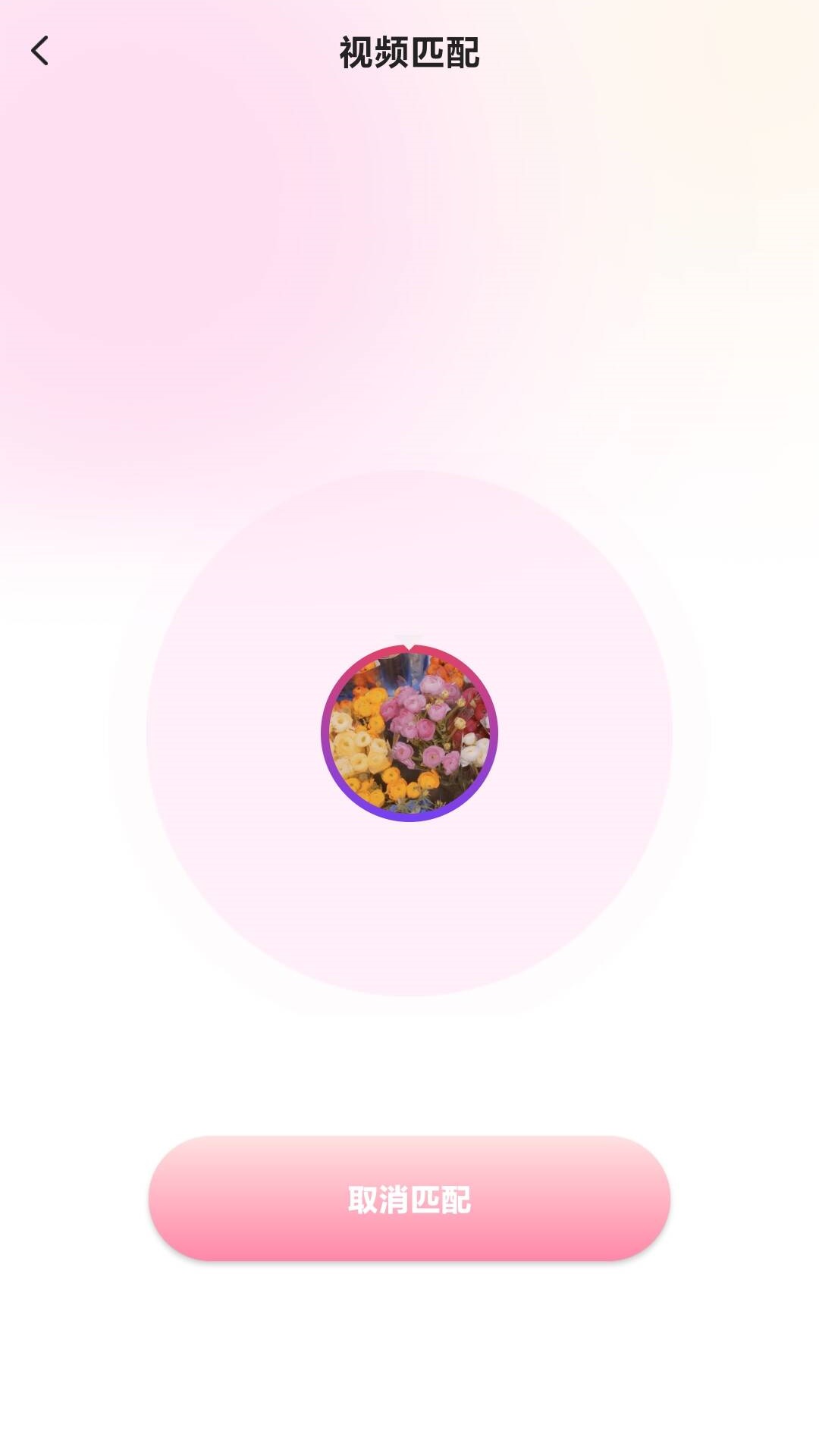 对象聊天交友电脑版截图