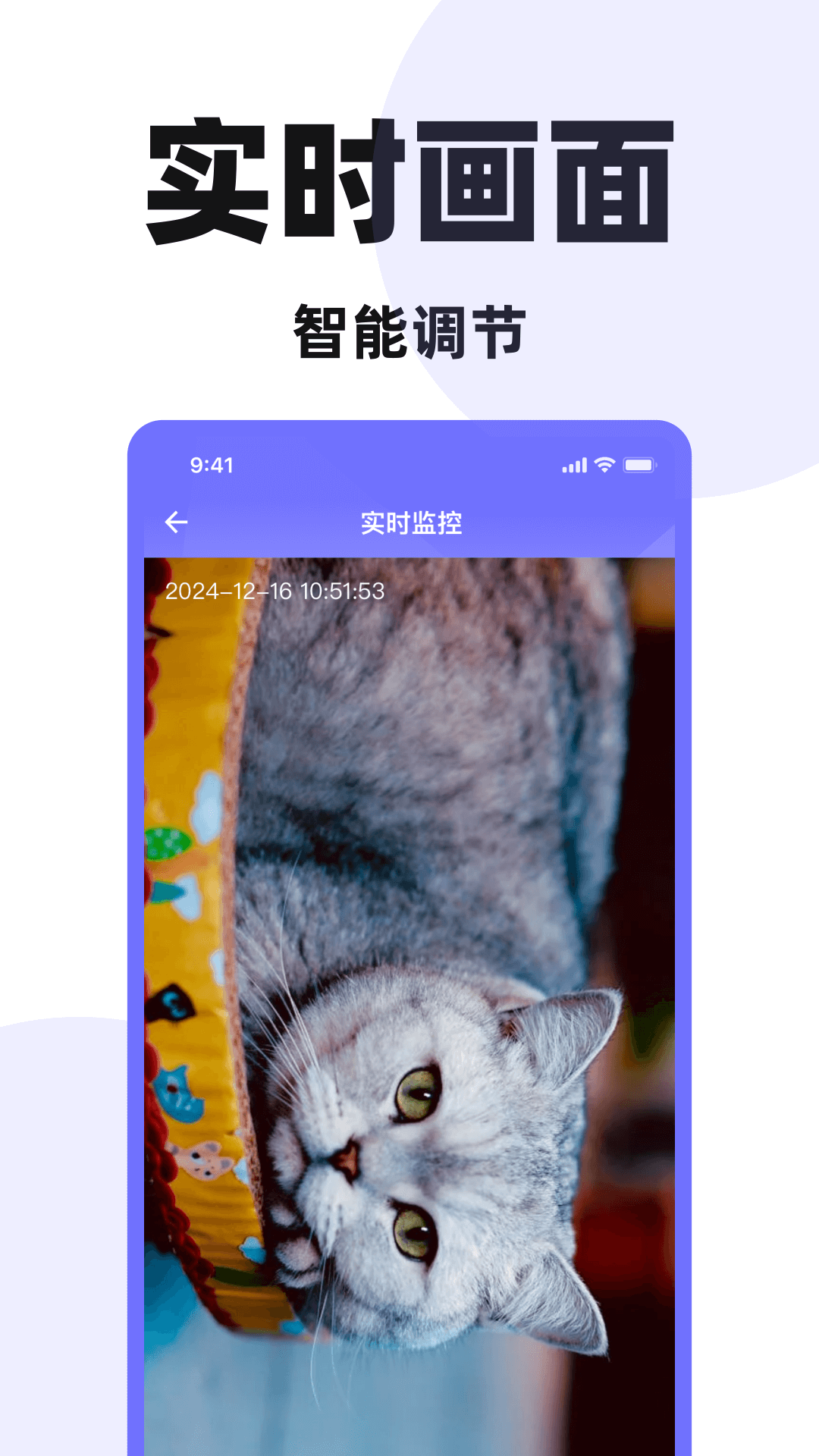 监控远程摄像头电脑版截图
