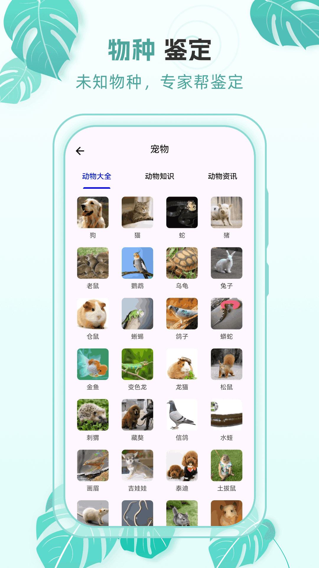 动物世界百科电脑版截图