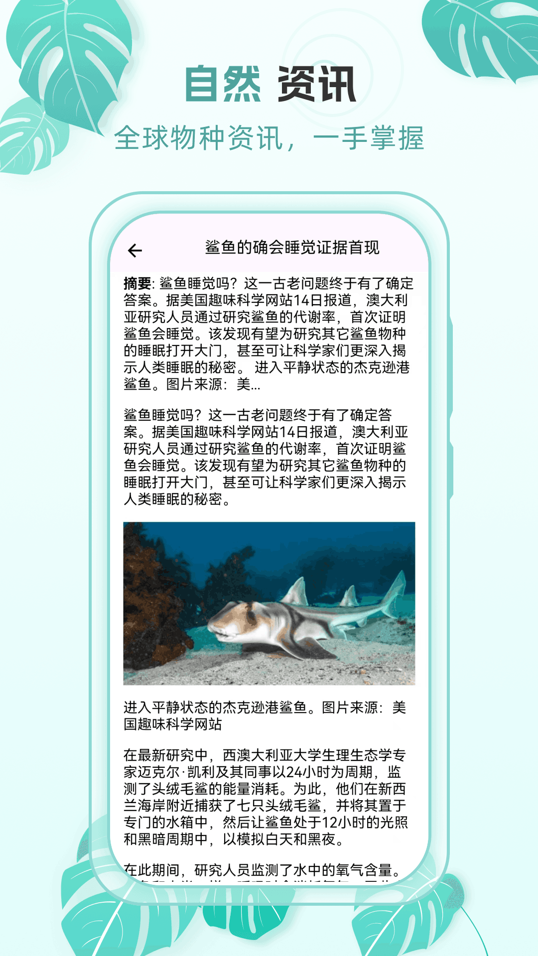 动物世界百科电脑版截图