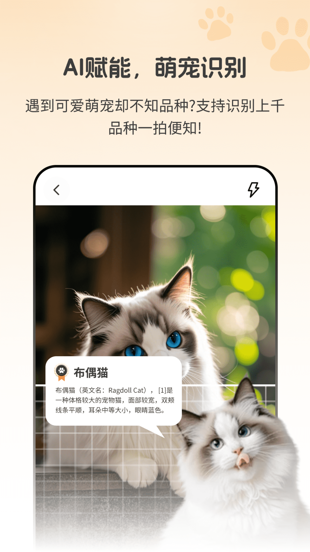 动物识别助手Zoon电脑版截图