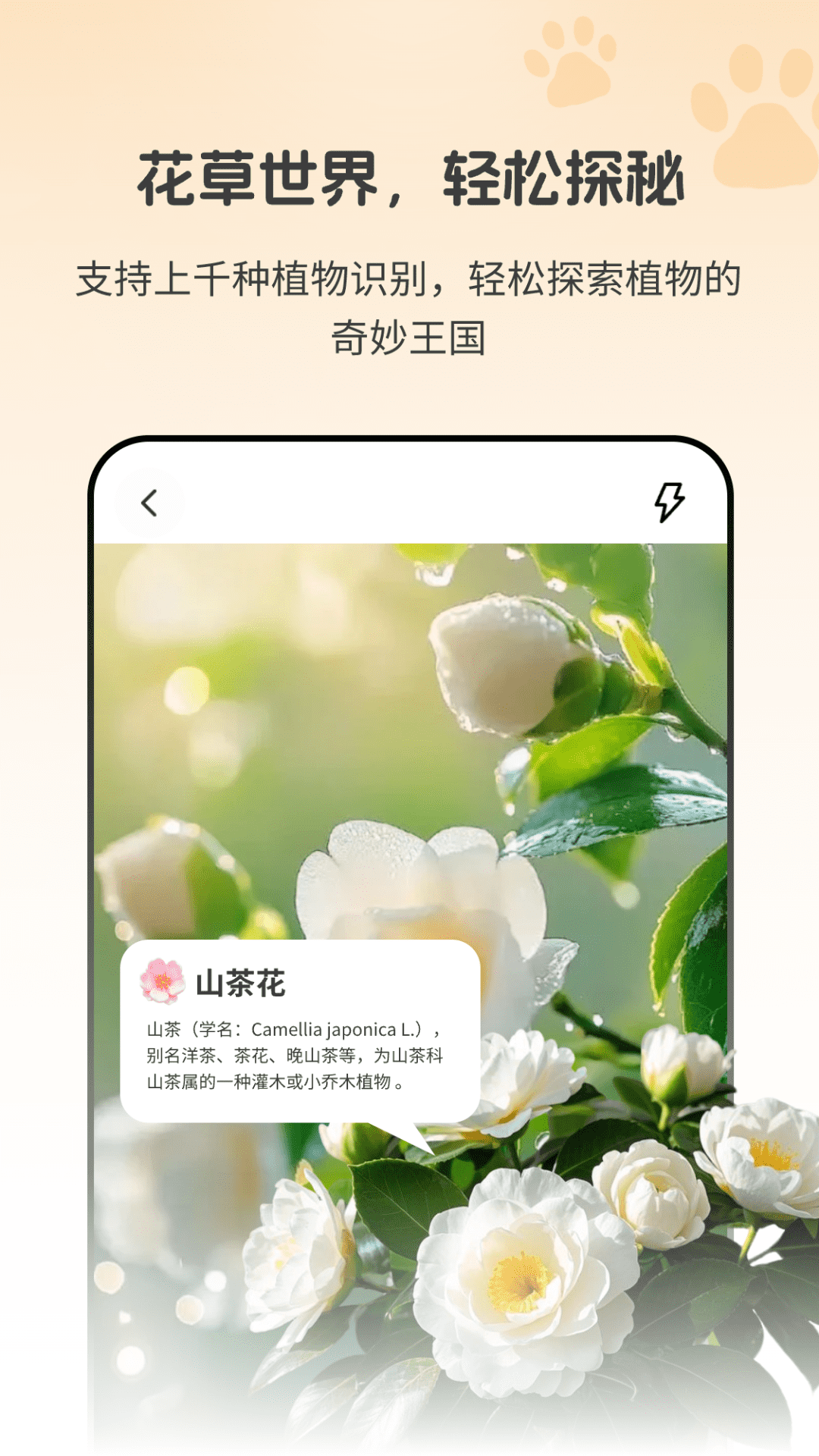 动物识别助手Zoon电脑版截图