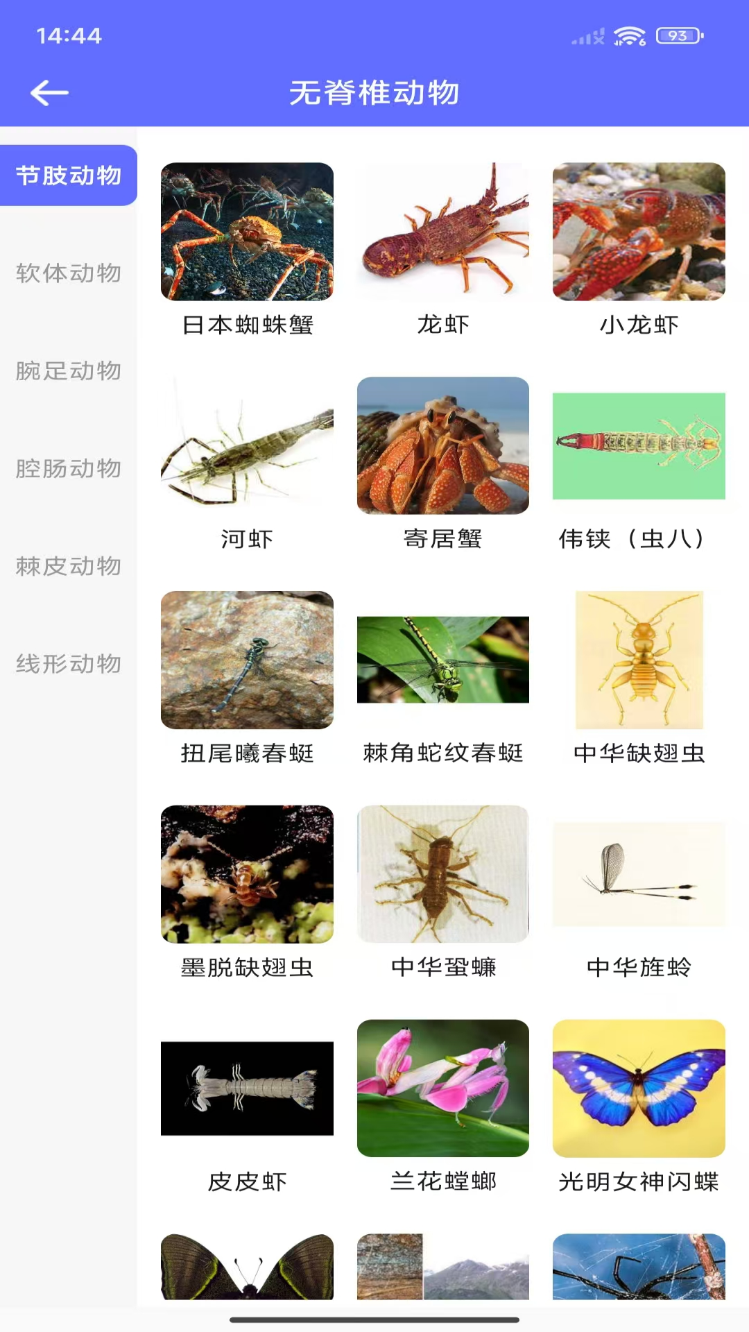 动物拍照识别