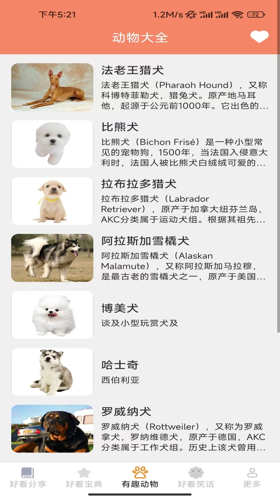 顶好看看电脑版截图