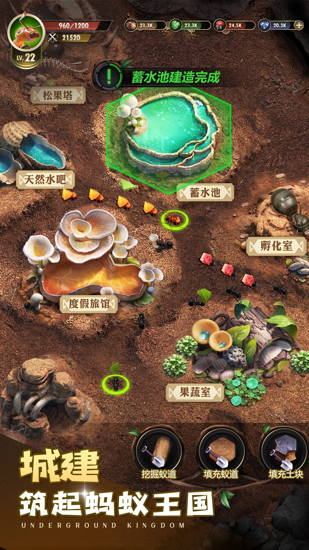小小蚁国：送648元金甲蚁