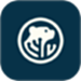 CoralBear
