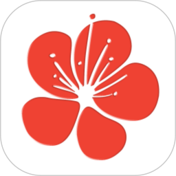 花瓣医美电脑版