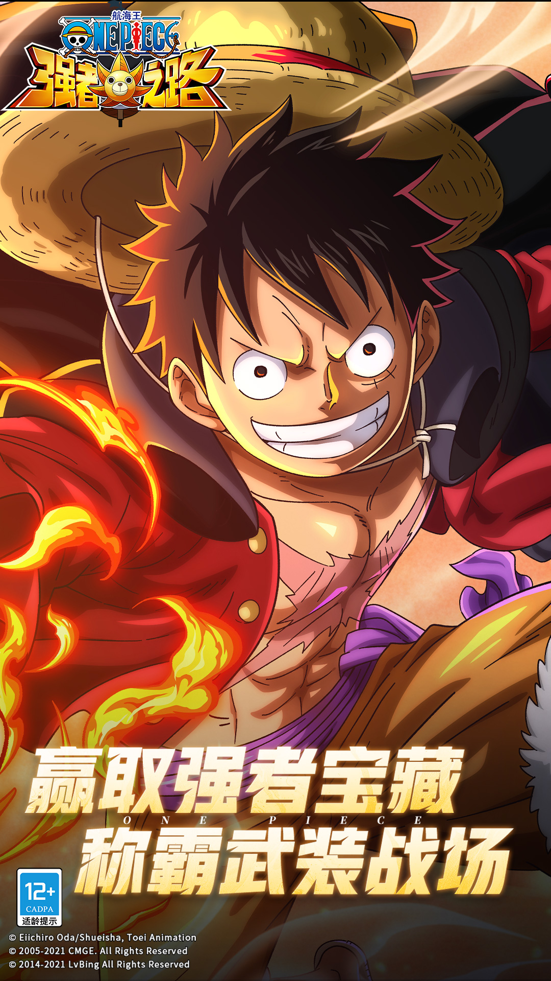 航海王强者之路