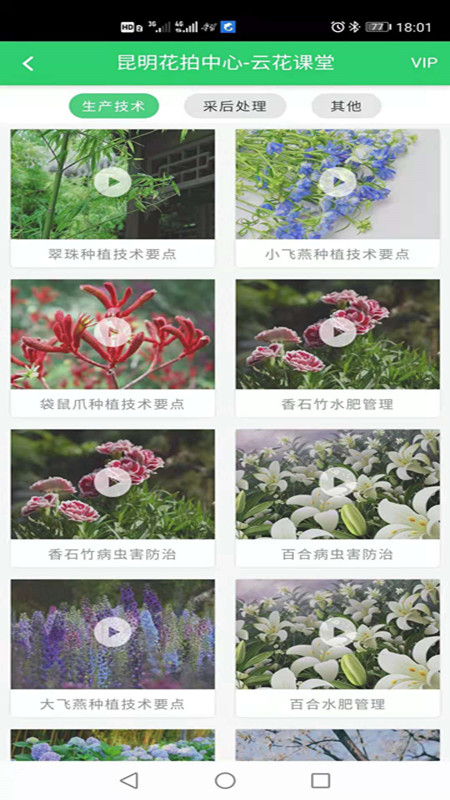 花拍服务供电脑版截图