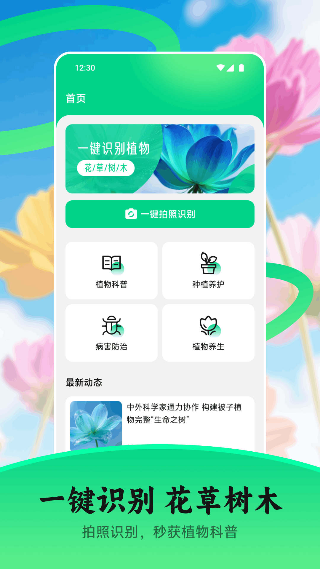 花苞电脑版截图