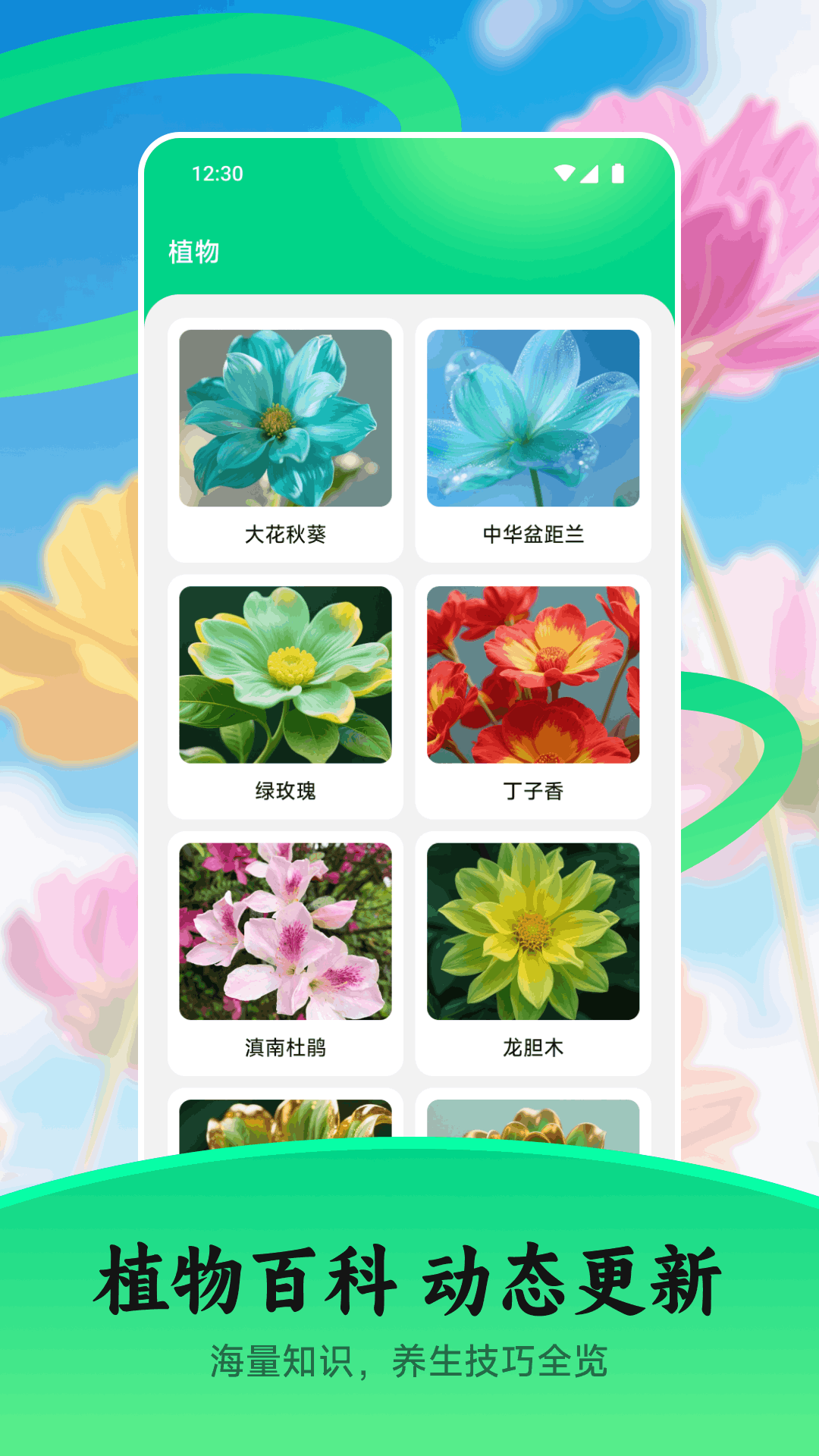 花苞电脑版截图