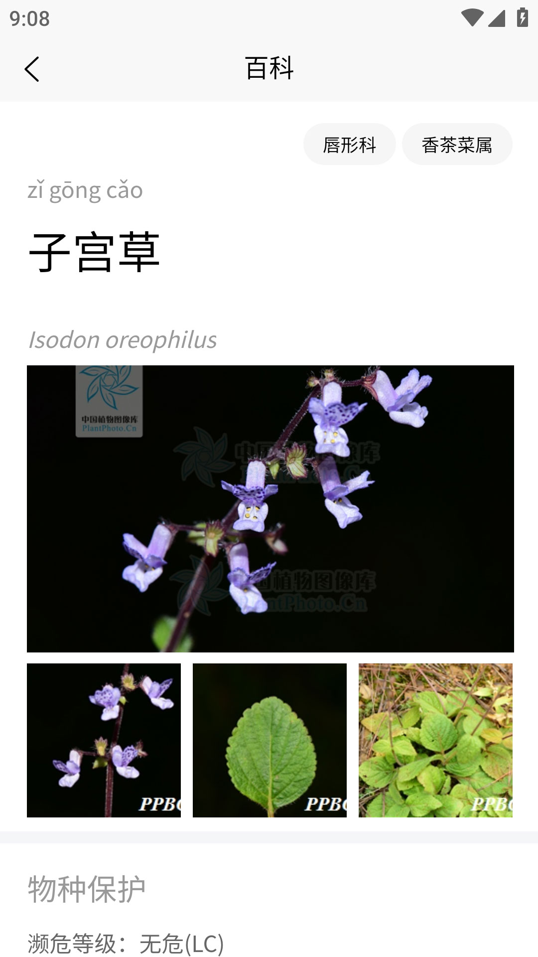 花伴侣专业版