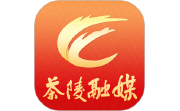 茶陵融媒电脑版段首LOGO