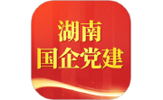 湖南国企党建电脑版段首LOGO