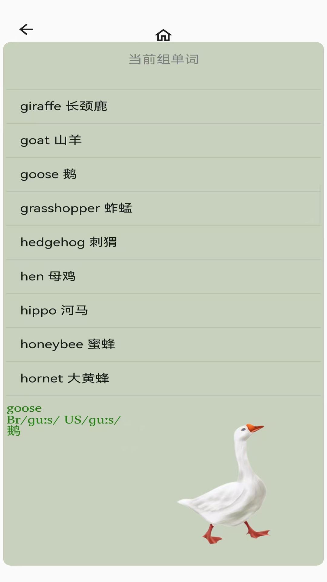 AI说英语