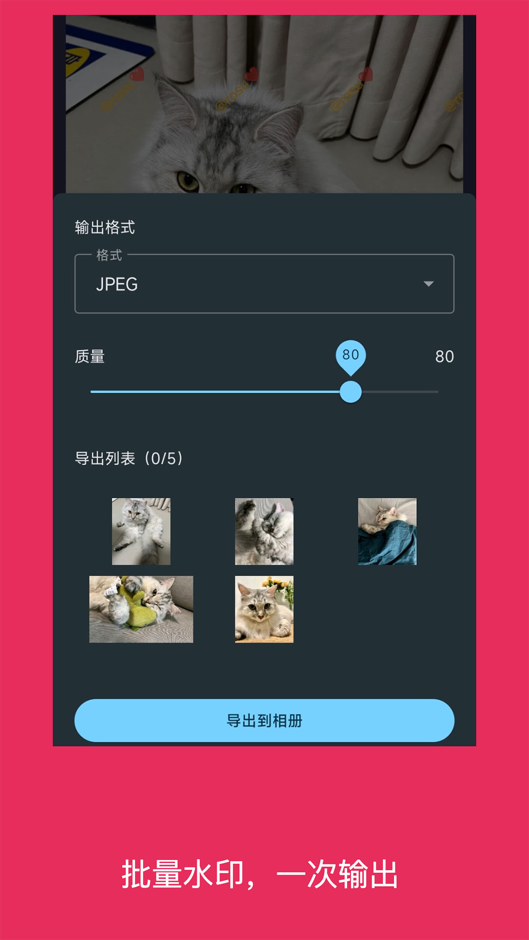 简单水印照片