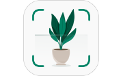 草木印象电脑版段首LOGO
