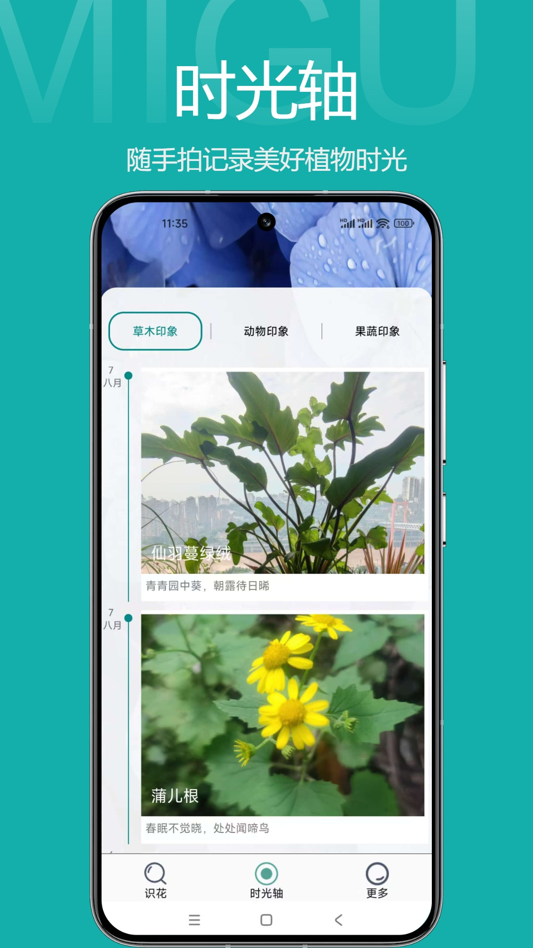 草木印象电脑版截图