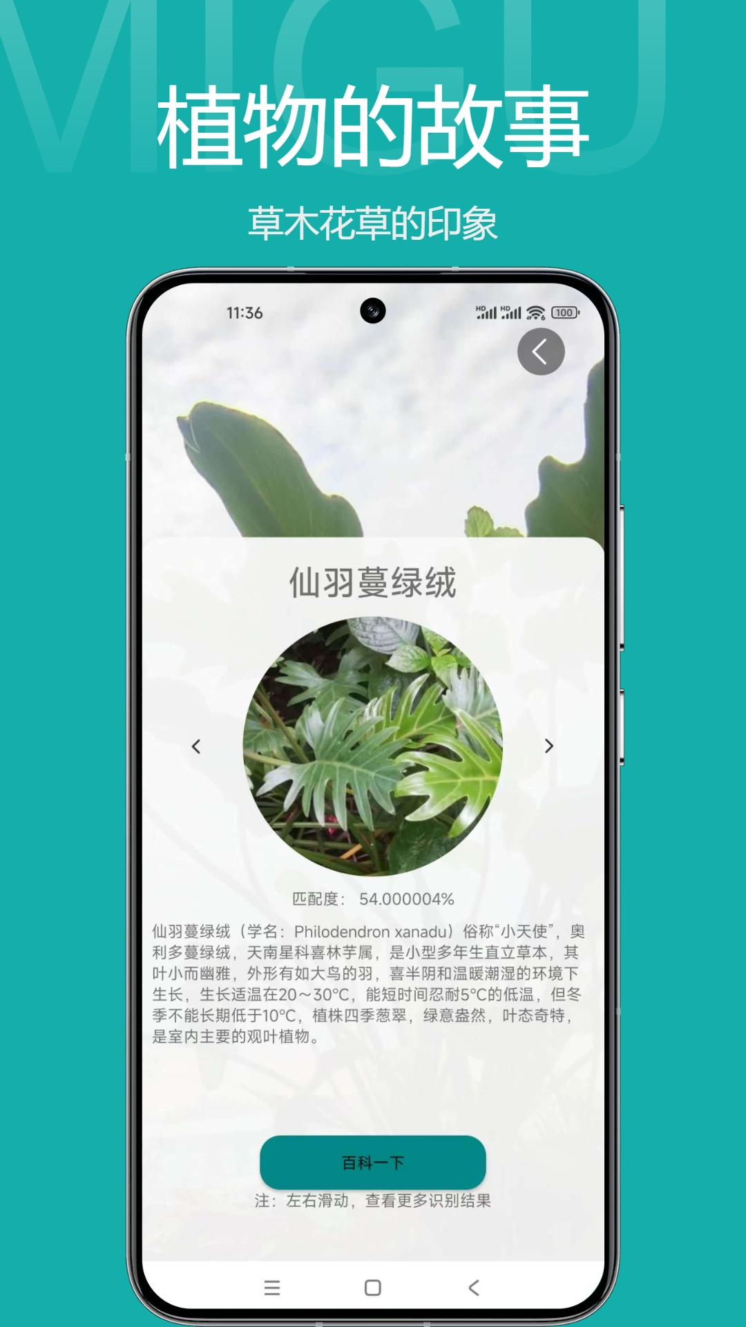 草木印象电脑版截图