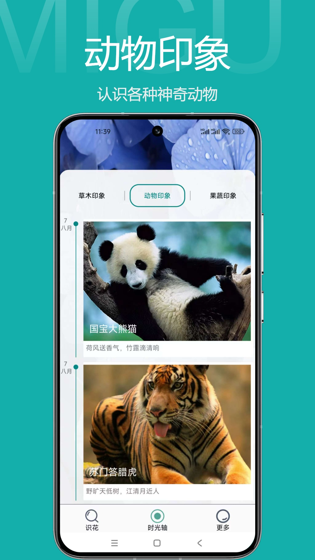 草木印象电脑版截图