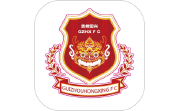 宏兴体育足球电脑版段首LOGO