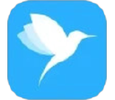 彩虹鸟电脑版段首LOGO