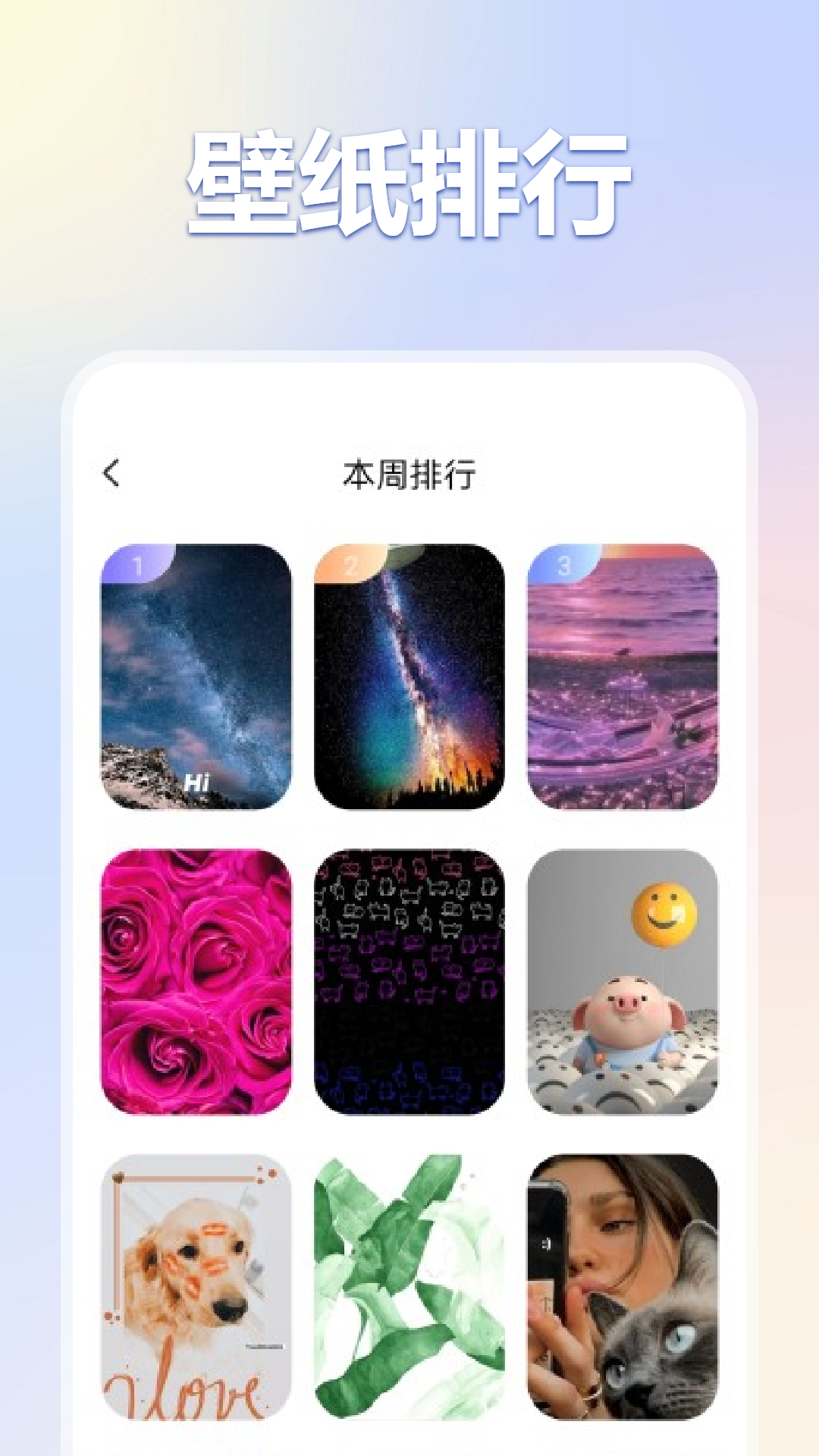 彩虹猫pro