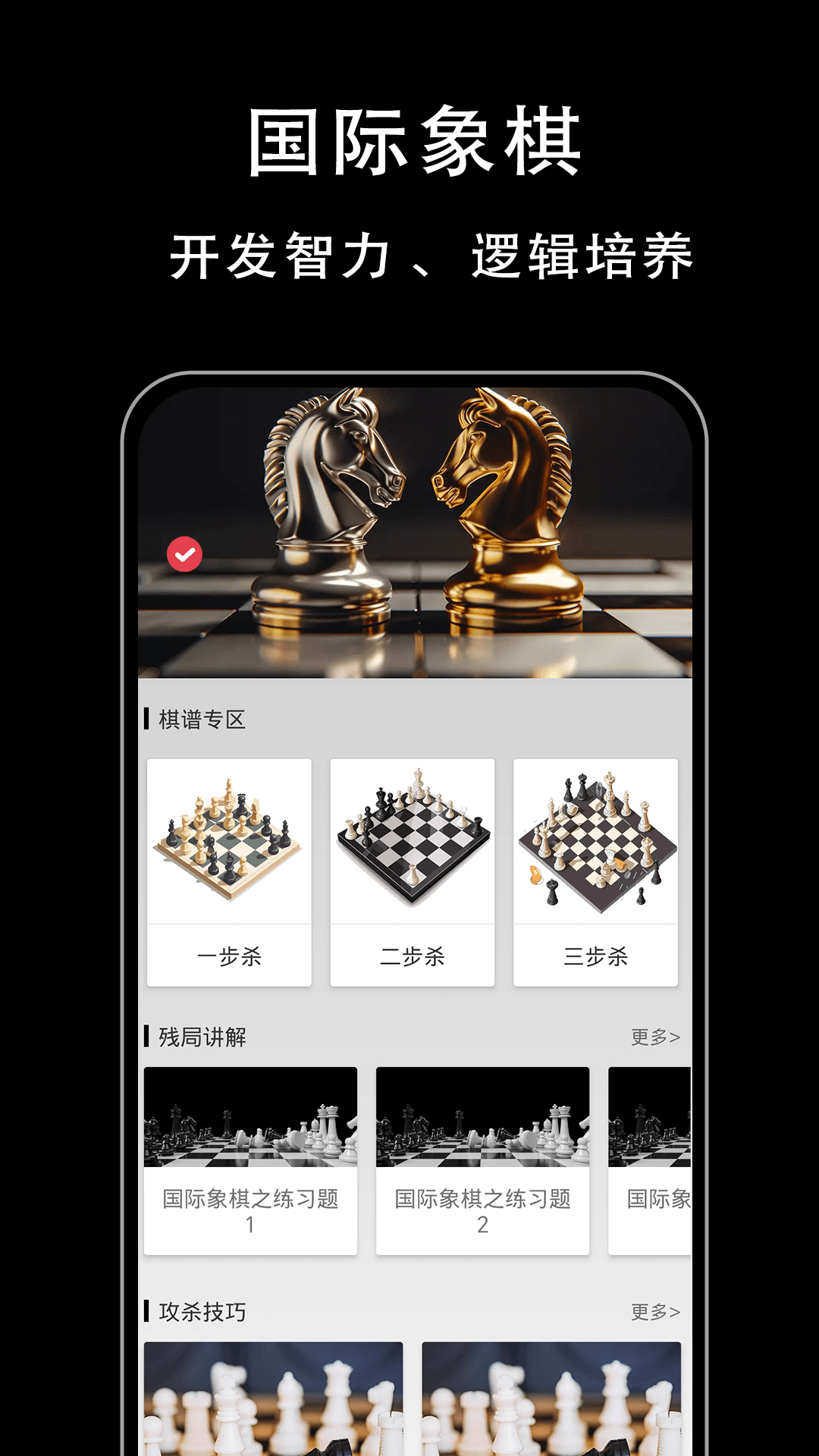国际象棋入门电脑版截图