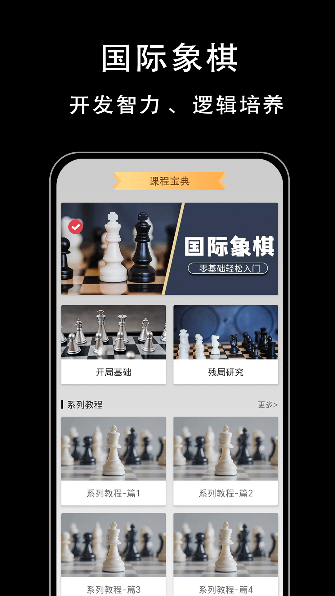 国际象棋入门电脑版截图