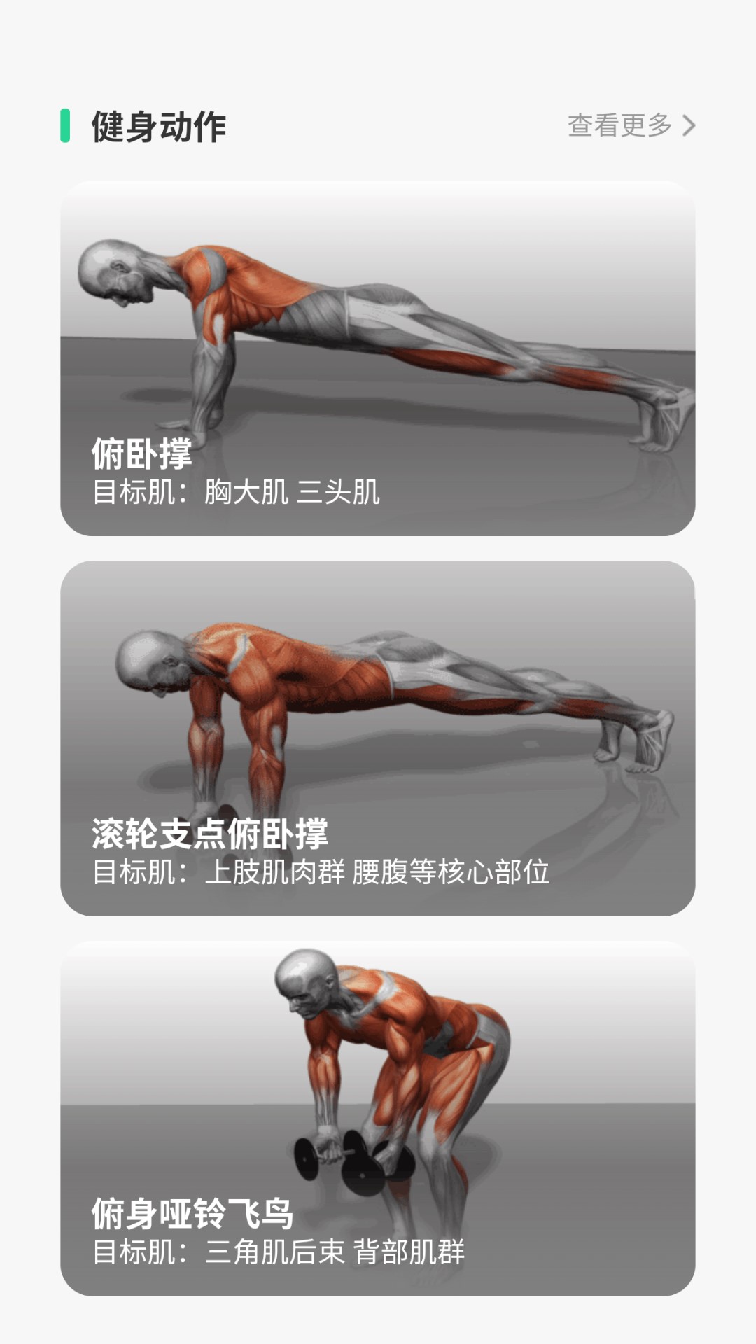 步数守护者电脑版截图