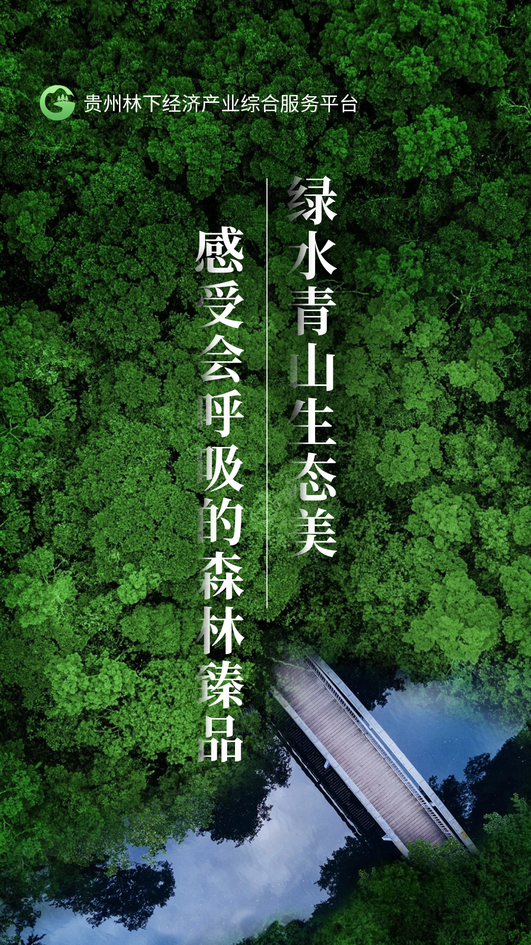 贵州省林下经济产业综合服务体系电脑版截图