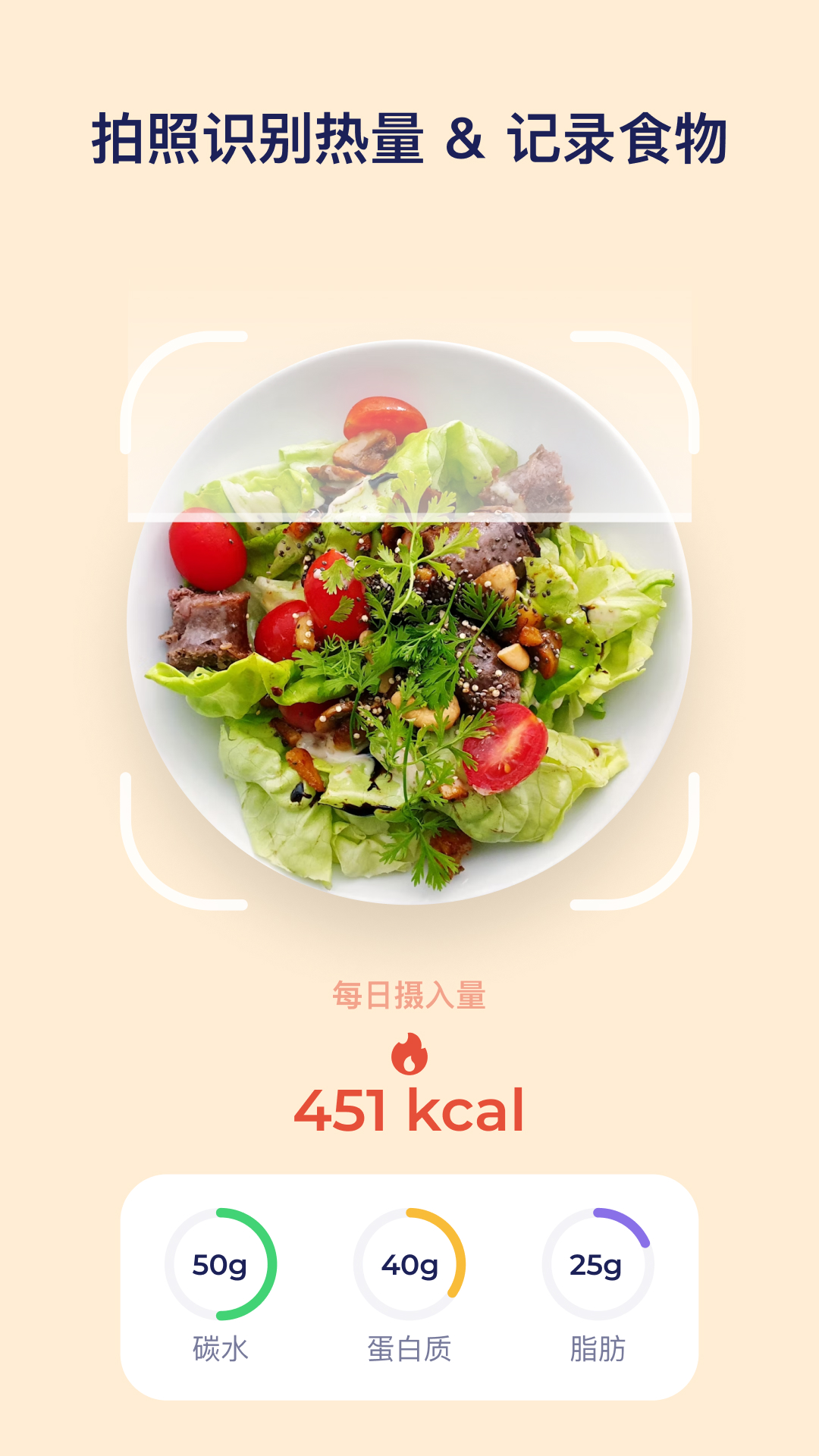 搭子习惯电脑版截图
