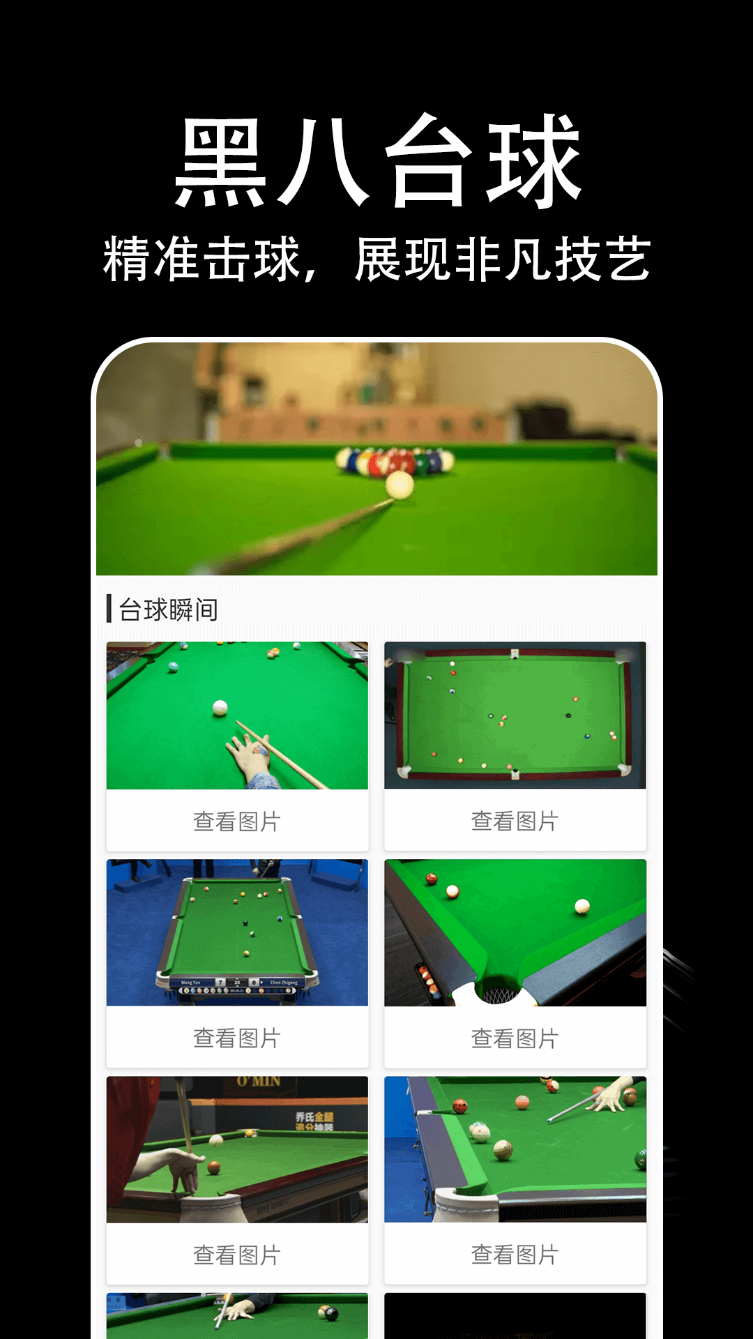 黑八台球电脑版截图